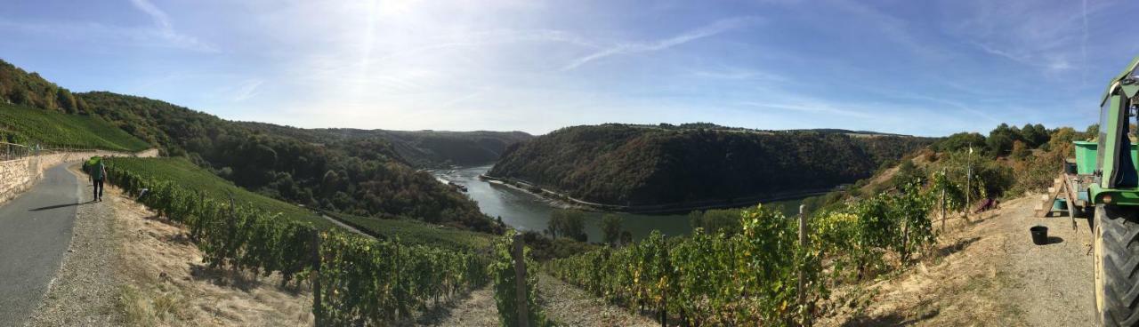 Das Loreley Weinstuebchen ซังคท์โกอาร์สเฮาเซิน ภายนอก รูปภาพ